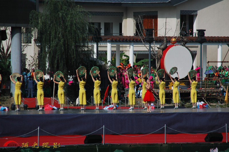 DSC_6766.jpg