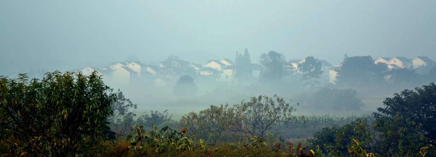 DSC_0361.jpg-1.jpg-2.jpg
