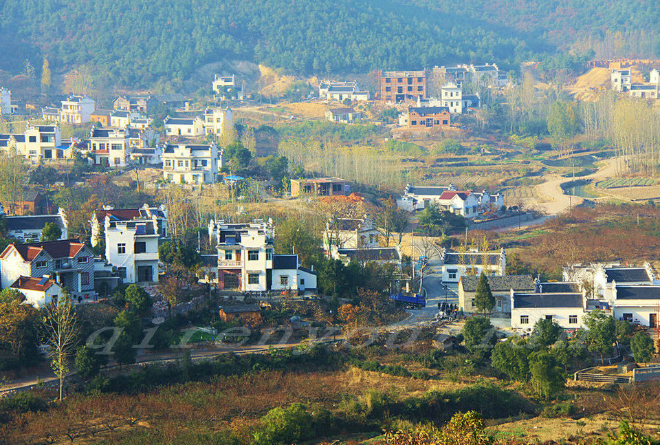 IMG_7892_1.JPG