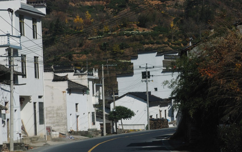 DSC_1501_conew1.JPG