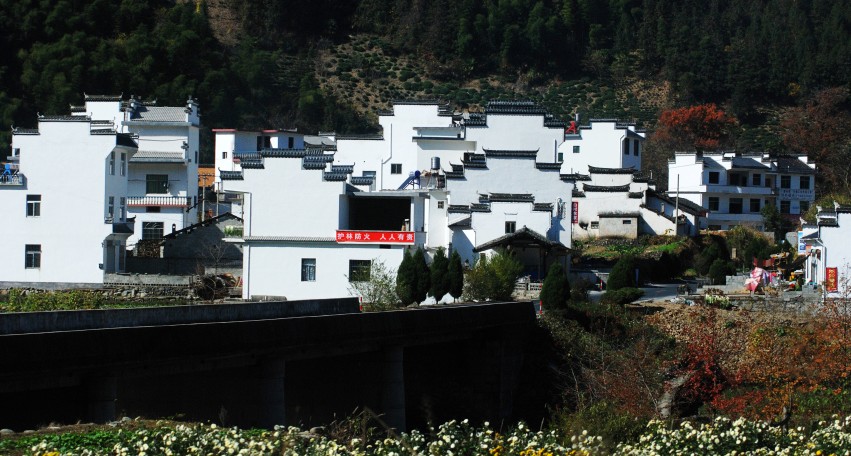 DSC_1509_conew1.JPG