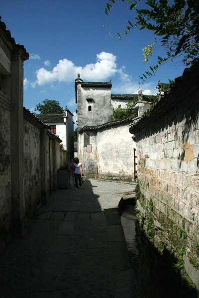 IMG_6260.jpg
