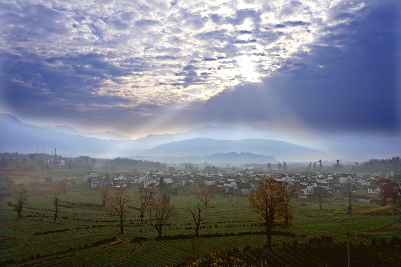 _DSC8457_.jpg