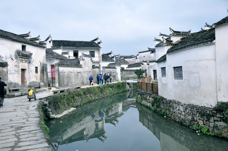 DSC_ɽŴ.jpg