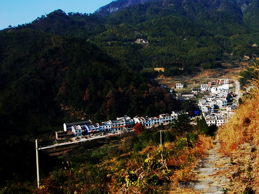 DSC_3813_conew2.JPG