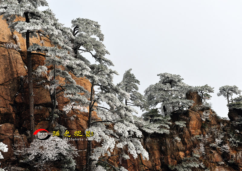 LCL_0162.jpg