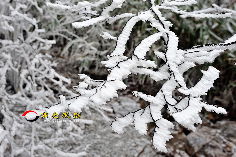 LCL_0177.jpg