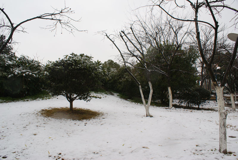 DSC02116.JPG