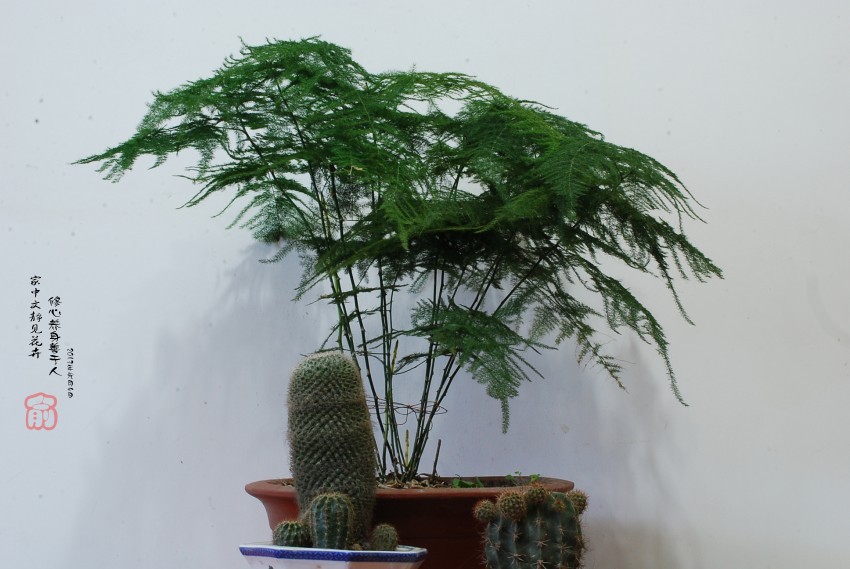 DSC_5213_conew2.JPG