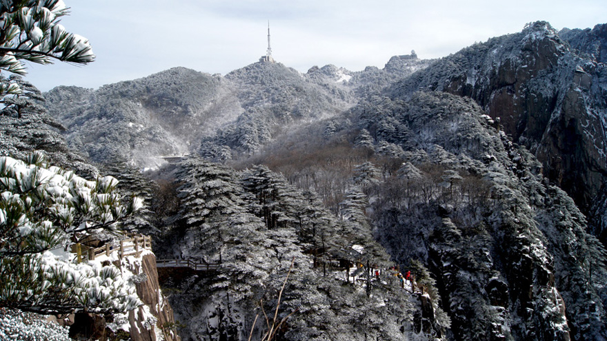 DSC01101.JPG