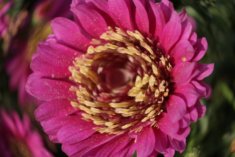 DSC08404_conew1.jpg