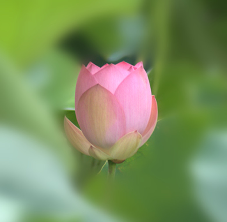 DSC09124_.jpg