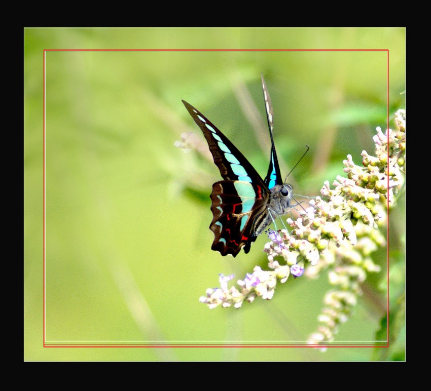 DSC_7184_conew1.jpg
