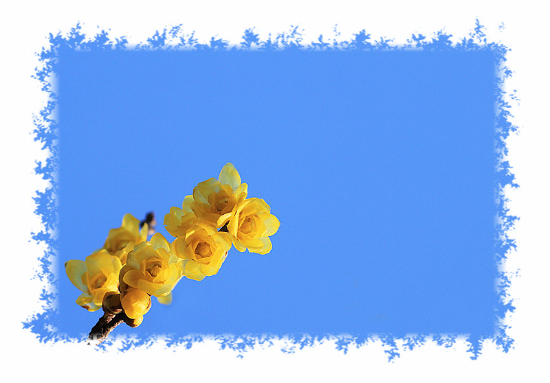 ܰ÷_0150_.jpg