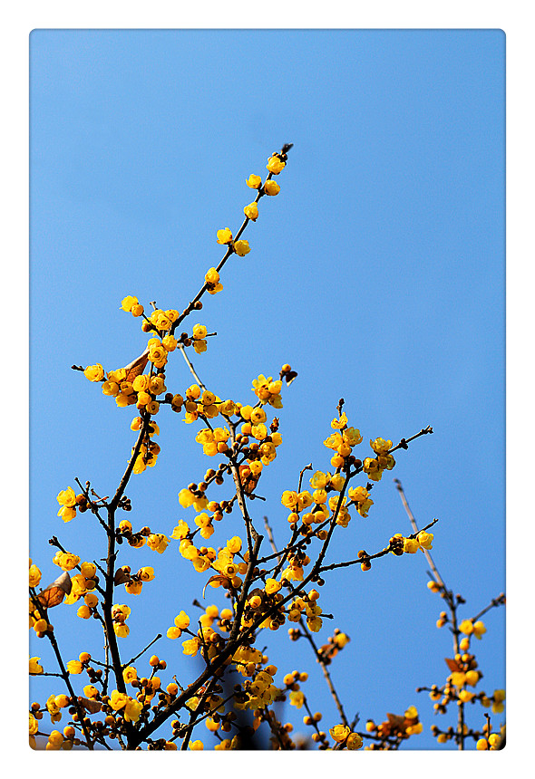 ܰ÷_0164_.jpg