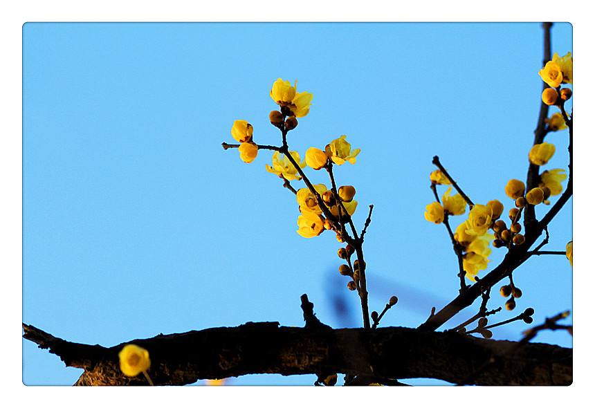 ܰ÷_0170_.jpg