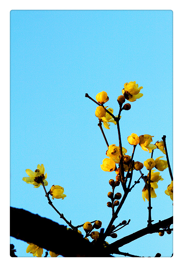 ܰ÷_0172_.jpg