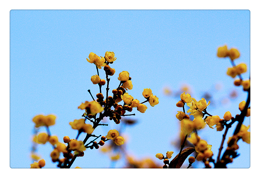 ܰ÷_0198_.jpg