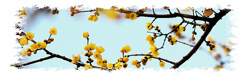 ܰ÷_0206_.jpg