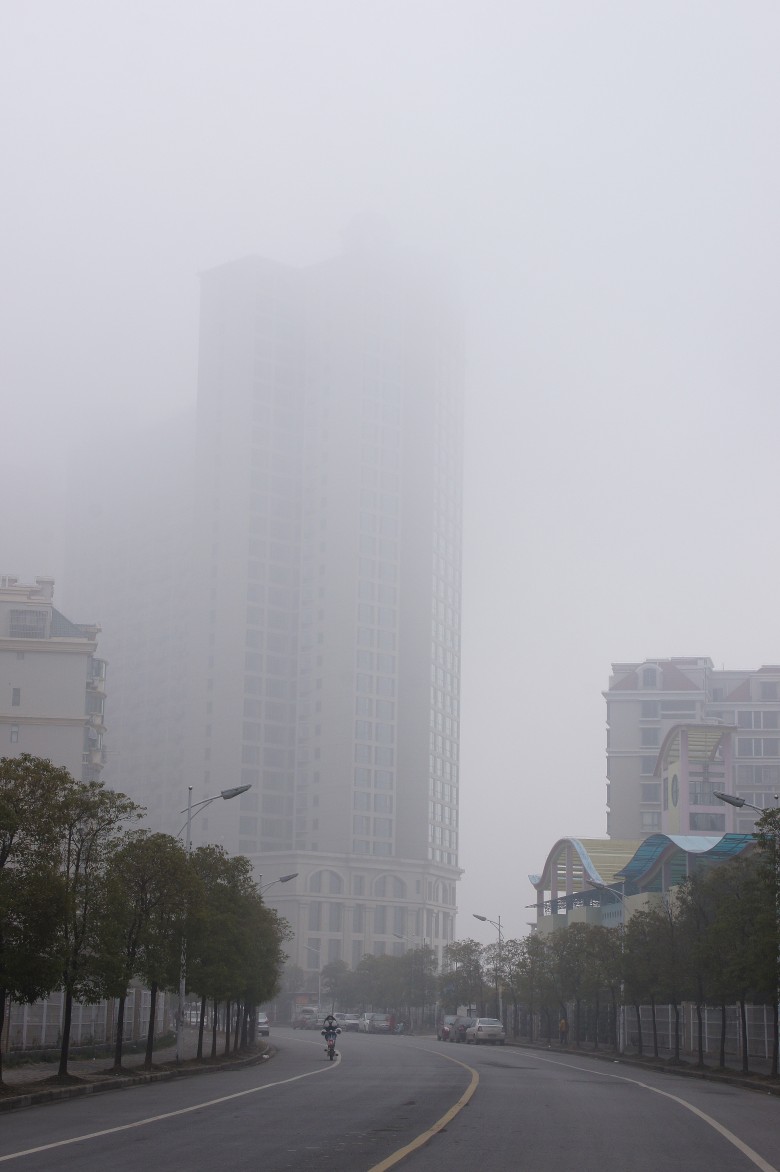 DSC09060_conew1.jpg