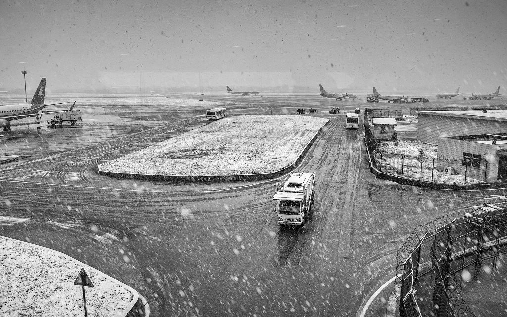 DSC_6997Ϊܶ-1.jpg