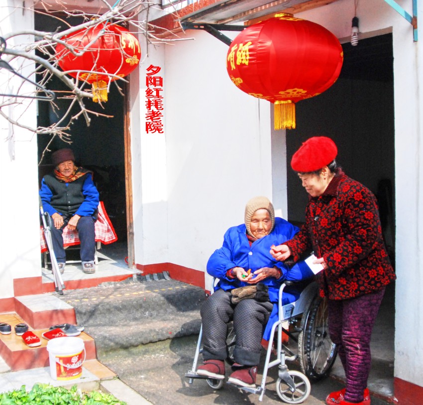 DSC_7035_conew1.JPG