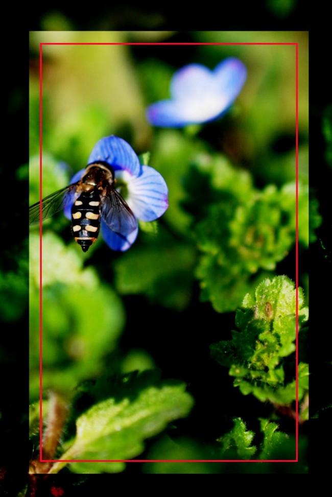 DSC_7451_conew2.JPG