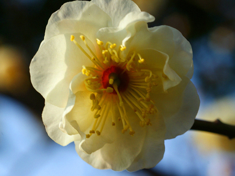 DSC02858_.jpg