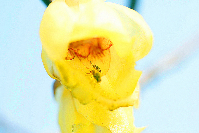DSC02875_.jpg