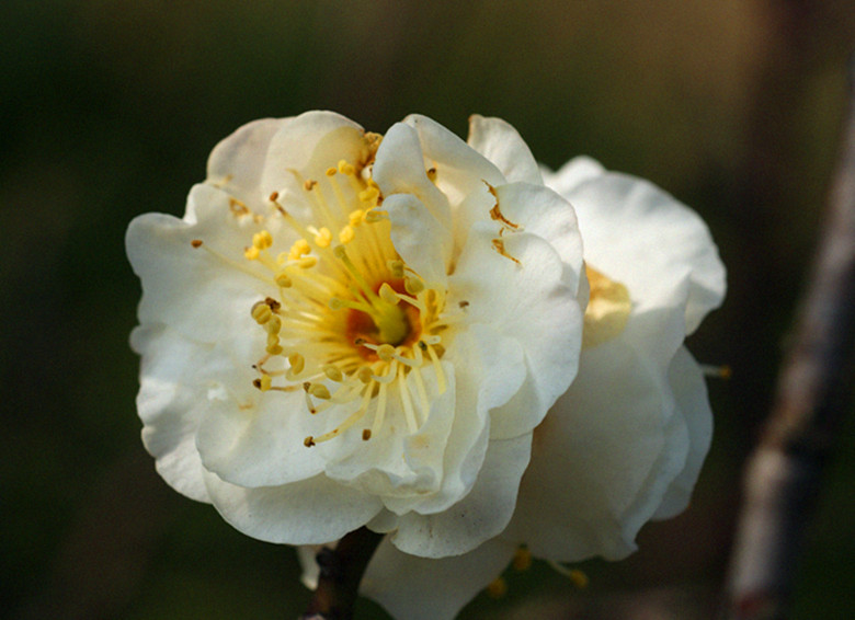 DSC02860_.jpg