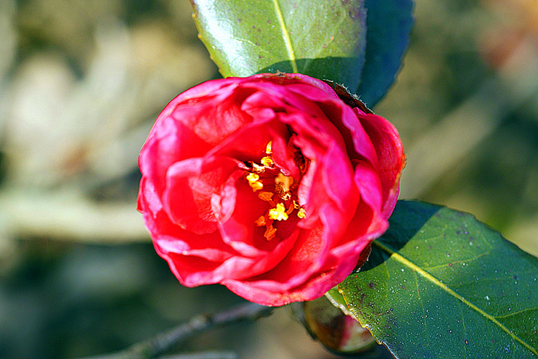 DSC02880_.jpg