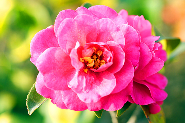 DSC02879_.jpg