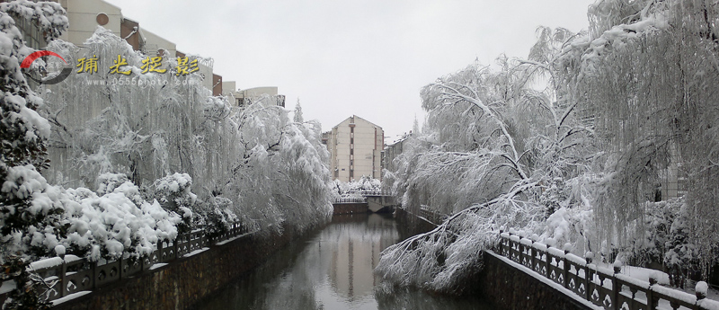 20130219156.jpg