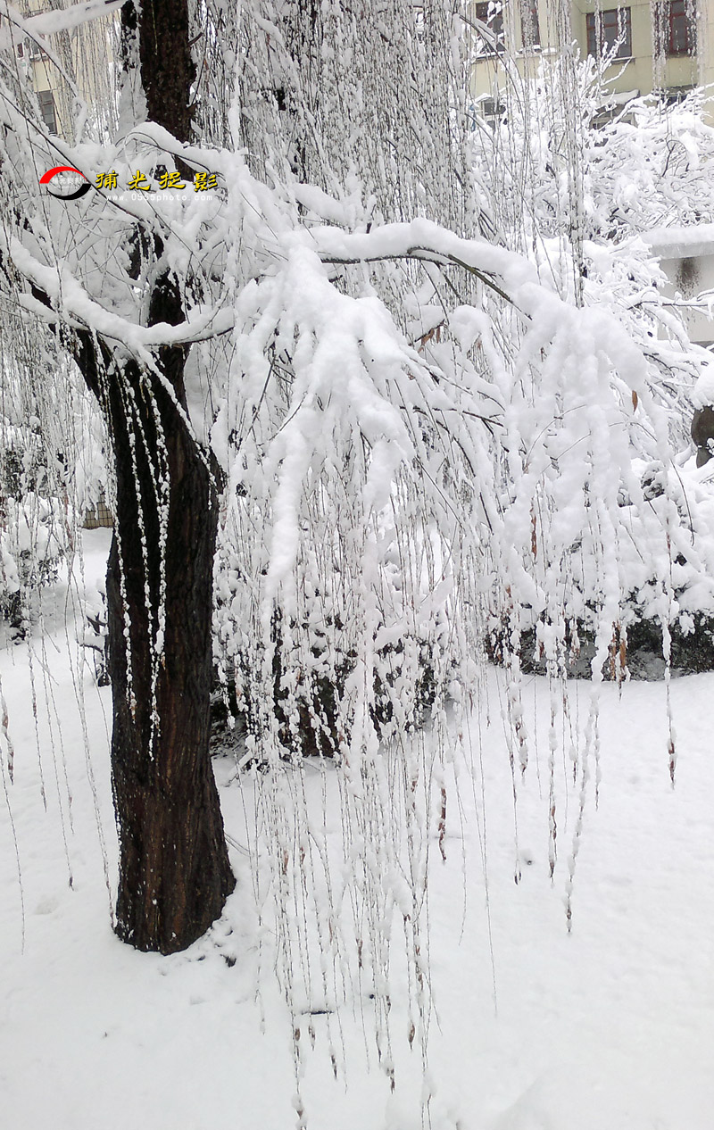 20130219157.jpg