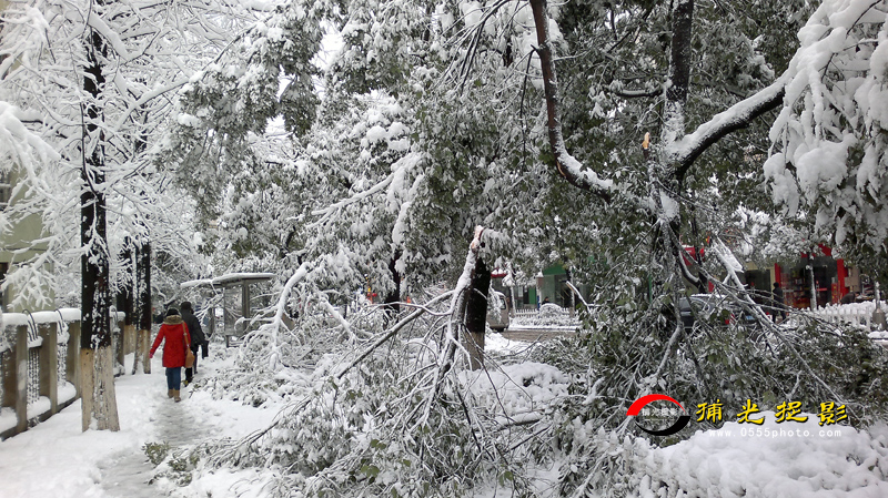 20130219160.jpg
