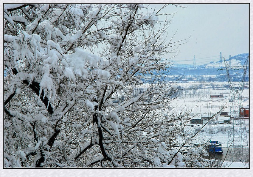  DSC_7534_conew1.JPG