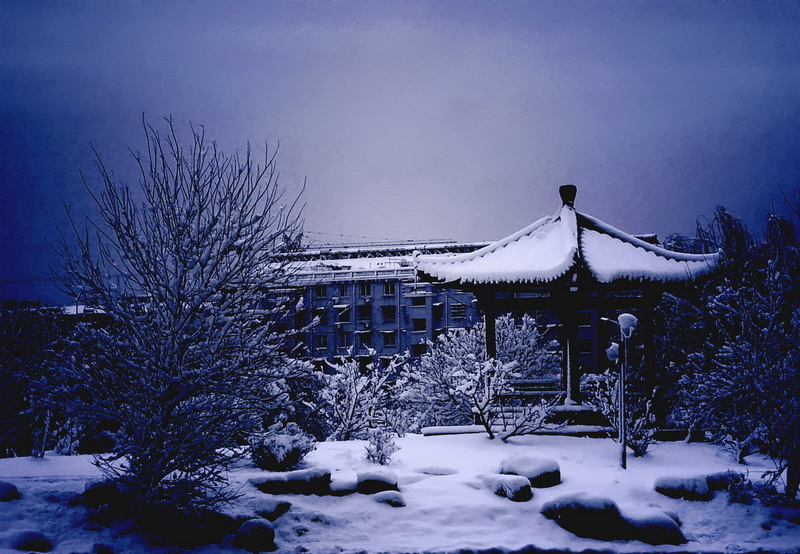  ѩҹDSC05369_conew1.jpg