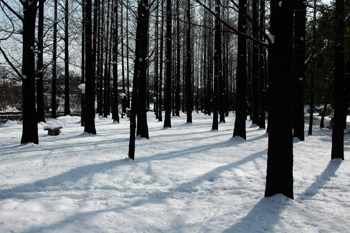 DSC_10079.jpg