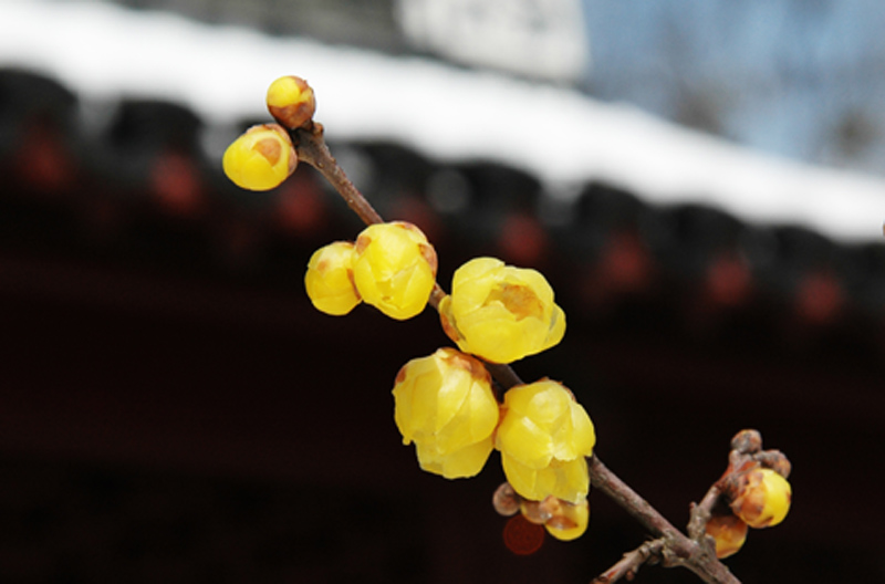 DSC_13143.jpg