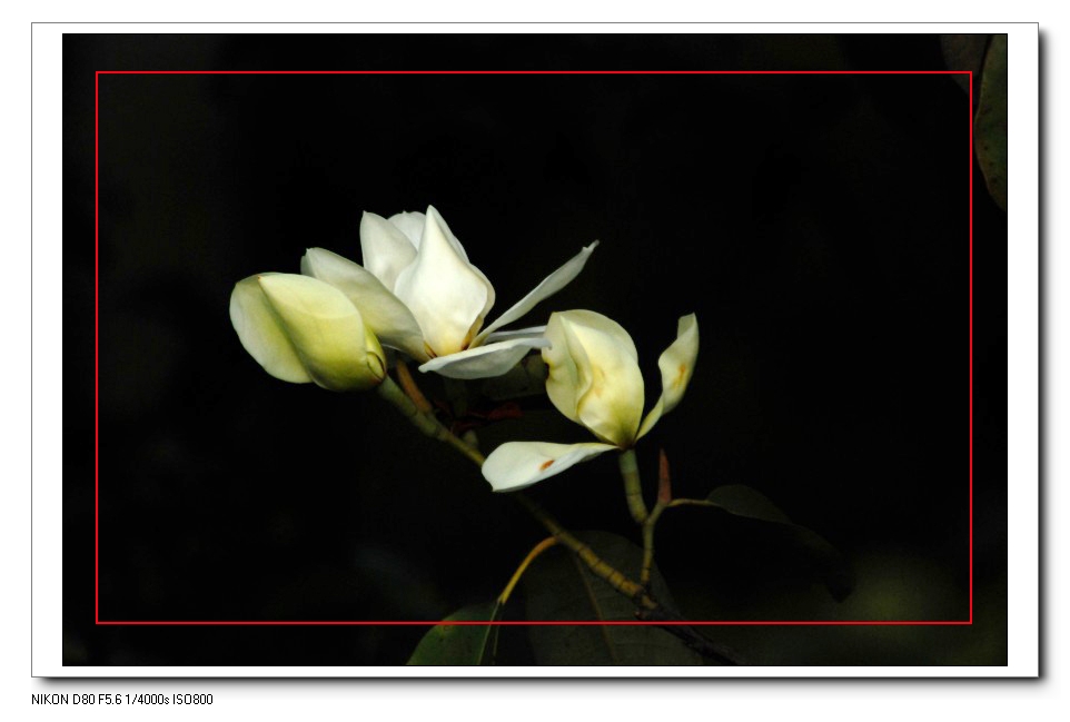 DSC_9042_conew1.JPG