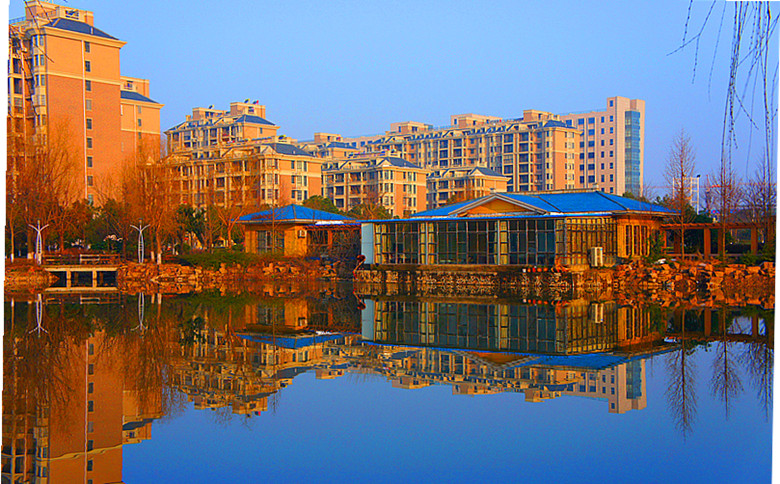 DSC09445_.jpg