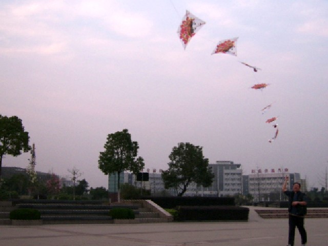 SSA52649_conew1.jpg