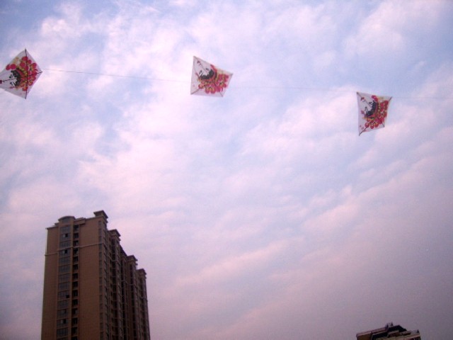 SSA52653_conew1.jpg