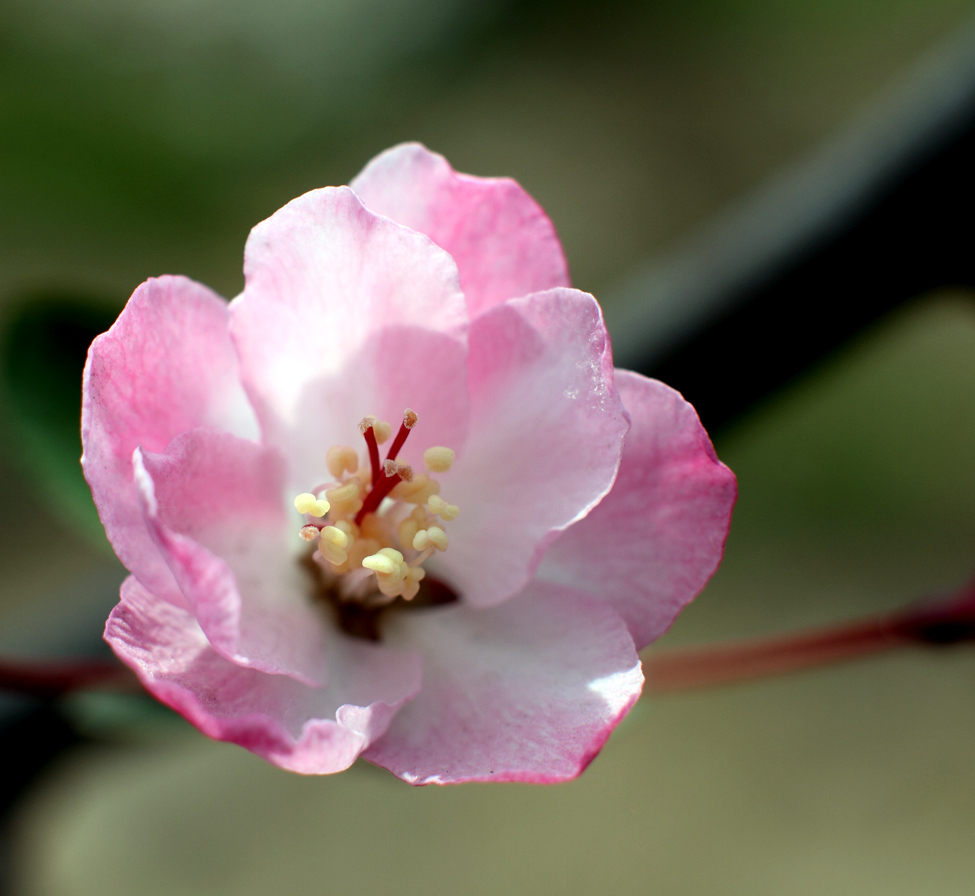IMG_9175 .jpg