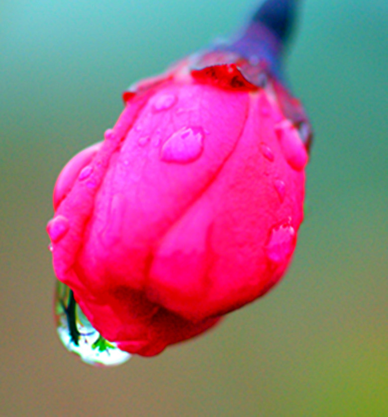 DSC03980_.jpg