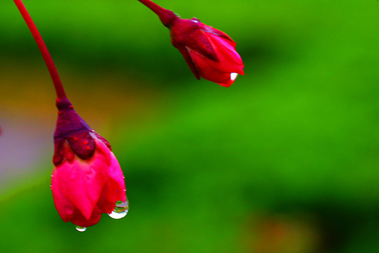 DSC03944_.jpg