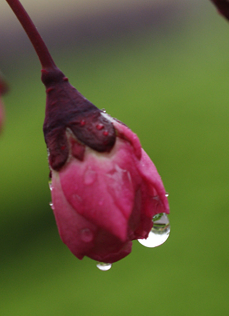 DSC03947_.jpg