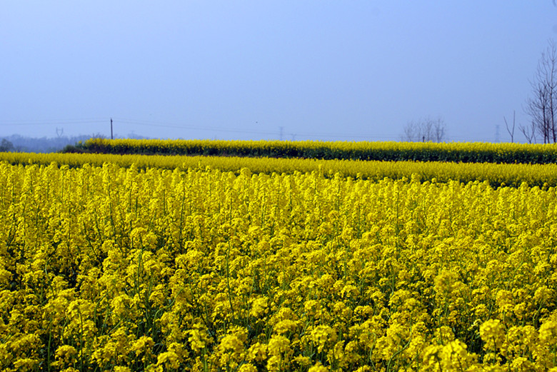 DSC04012_.jpg