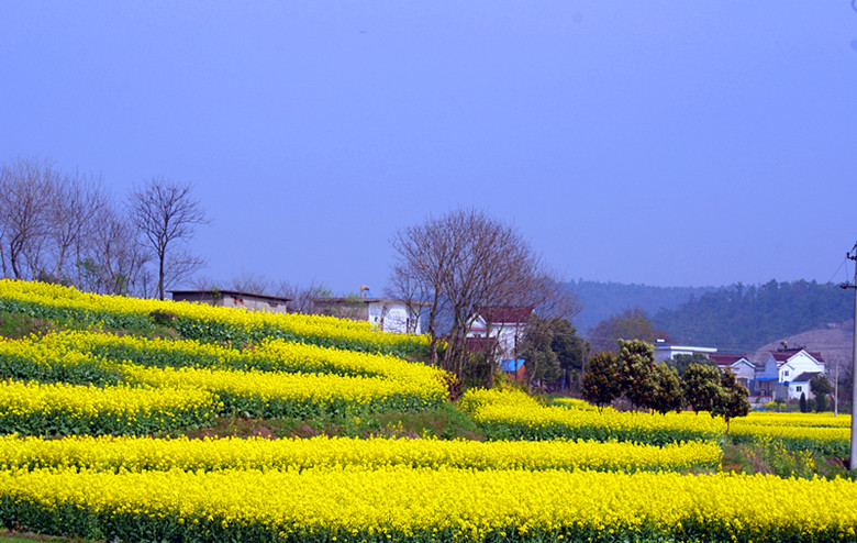 DSC04002_.jpg