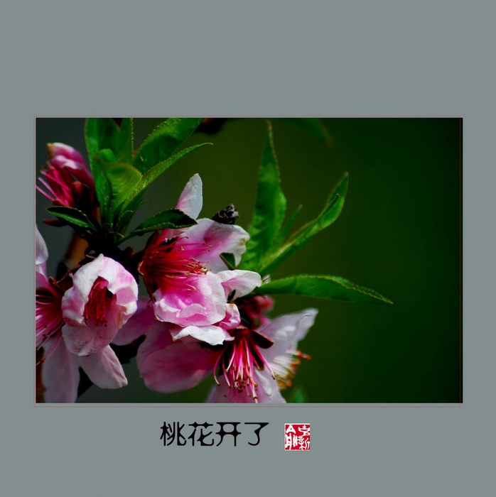 DSC_9185_conew1.JPG